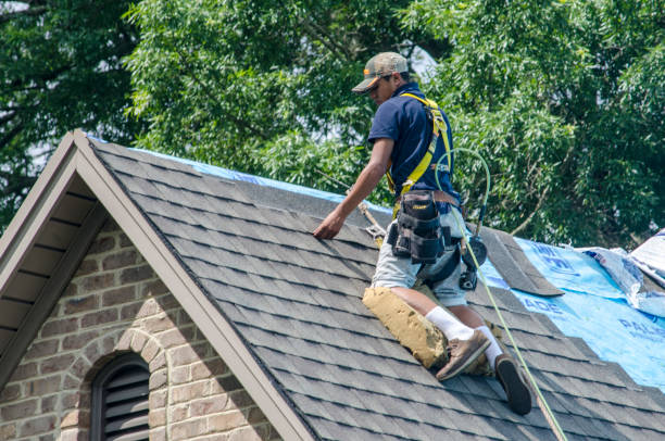 Professional Roofing Contractor in Glenwood Springs, CO